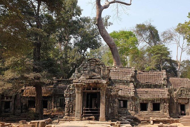Sunrise Tour of Angkor Temples from Siem Reap - The cost check: is $26 good value for an Angkor sunrise day?