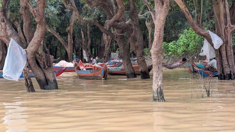Sunset Kompong Pluk Floating Village - Price and logistics: is $20 actually good value?