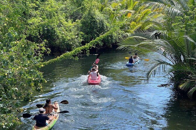 Sunset Scenic Kayaking and Swimming Activity - Key Points at a Glance