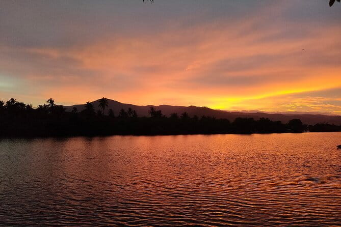 Sunset Scenic Kayaking and Swimming Activity - The Leaf-Canopy “Touching Leaves Over Water” Effect