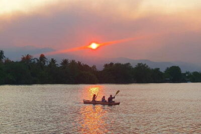 Sunset Scenic Kayaking and Swimming Activity - Kayaking Through Kampot’s Green Cathedral (Not the Stone Kind)
