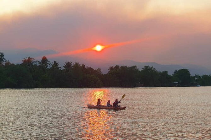 Sunset Scenic Kayaking and Swimming Activity - Kayaking Through Kampot’s Green Cathedral (Not the Stone Kind)