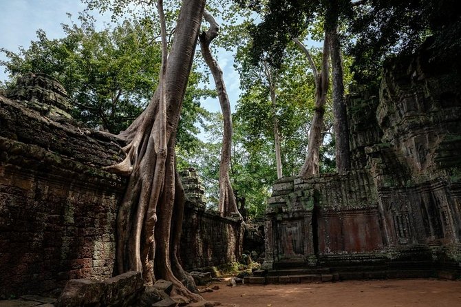 The Ultimate Angkor Wat Temple Private Day Trip - Price and What $64.03 Really Buys You