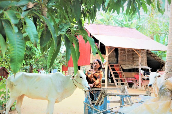 Tonle Sap Lake - Fishing Village & Flooded Forest - The Guides: Clear Explanations, Safe Driving, and Local Names You’ll Hear