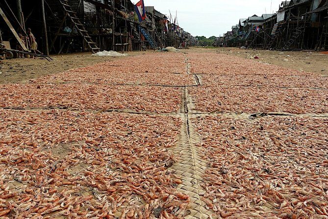 Tonle Sap Lake & Kampong Phluk Village Half-Day Tour - Guides that make the day click: history and humor