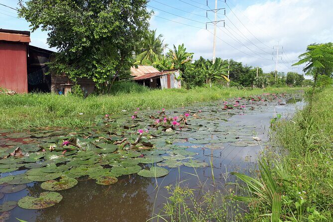 Tuk Tuk Journey: Exploring Rural Life and Silk Farm Craftsmanship - Pagoda stop at វត្តខ្នាតរង្សី: Khmer Buddhism in a short, respectful window