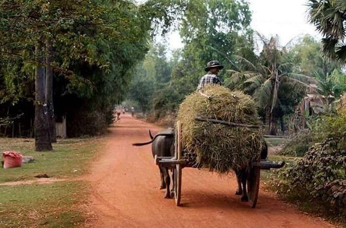 Tuk Tuk Journey: Exploring Rural Life and Silk Farm Craftsmanship - Price and value: is $45 a good deal for this mix?