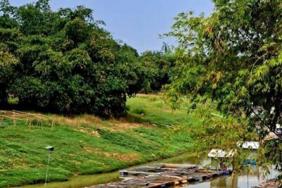 Tuk Tuk Tour (Full-Day) - Food-making stops you’ll remember (sticky rice, rice paper, fish paste, rice wine)