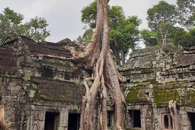 Two Days Angkor Tour - Comfort and Effort: A Realistic Fit for Your Body