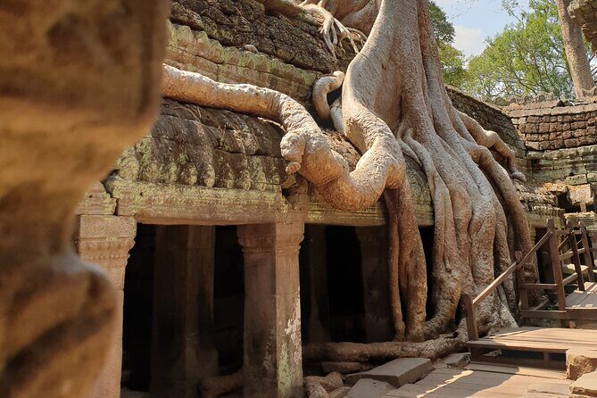 Two Days Angkor Tour - Who Should Book This Two Days Angkor Tour?