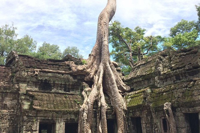 Unveiling 2 Days Private Angkor Wat/Beyond In Sunrise/Sunset Tour - How the guide improves the experience (especially at sunrise)