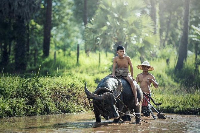 Village Life Tour from Siem Reap - Village Life Tour in Siem Reap: What You’re Really Buying