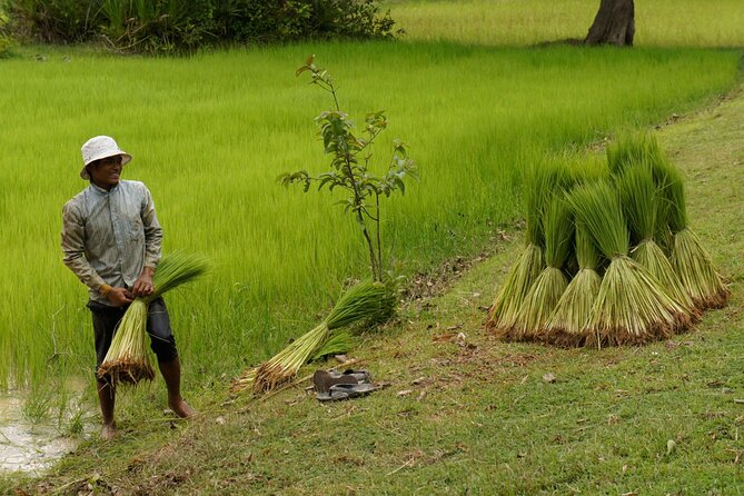 Village Life Tour from Siem Reap - The Ride Out From Siem Reap: 9:00 am Countryside Views