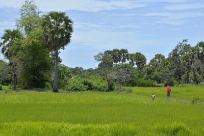 Village Life Tour from Siem Reap - Arriving in the Host Village: Welcomes, Workshops, and Real Routines