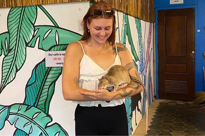 War Museum, Killing Field, and APOPO Hero RATs Tour - Key Things I’d Plan Around