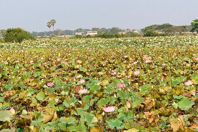 War Museum, Killing Field and Floating village ( Chong Kneas) Tour - Stop 2: War Museum Cambodia and Hearing It From the Ground
